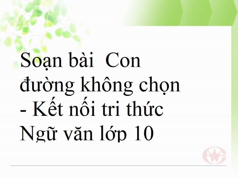 Top 6 Hướng dẫn phân tích "Con đường không chọn" (Ngữ văn 10 - SGK Kết nối tri thức) sâu sắc nhất