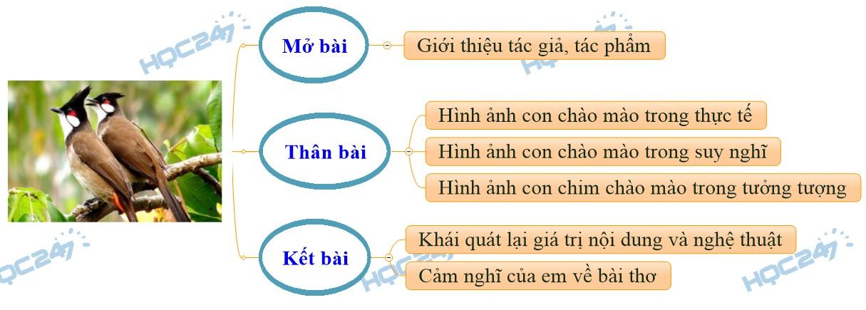 Top 7 bài cảm nhận và phân tích ấn tượng nhất về tác phẩm "Con chào mào" (Ngữ văn 6 - SGK Kết nối tri thức)