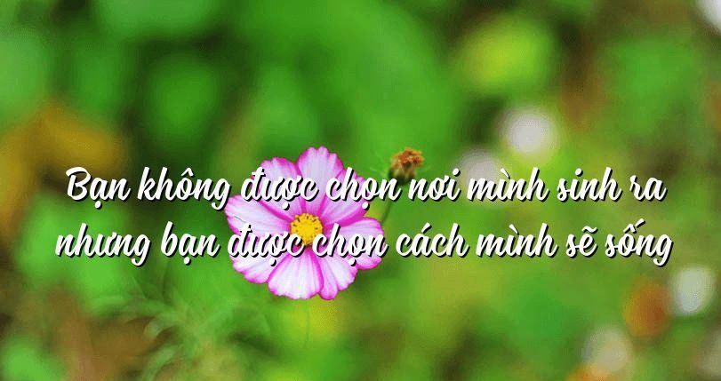 Top 10 bài luận triết lý sâu sắc về câu nói: 'Hoàn cảnh sinh ra là định mệnh, nhưng cách sống là lựa chọn' - dành riêng cho học sinh lớp 8
