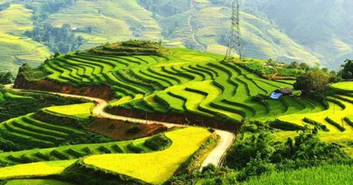 Top 9 bài phân tích ấn tượng nhất về góc nhìn mới lạ trong cảm nhận "Đất nước" của Nguyễn Khoa Điềm (Dành cho học sinh lớp 12)