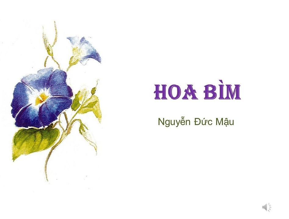 Top 6 Bài phân tích "Hoa bìm" (Ngữ văn 6 - SGK Chân trời sáng tạo) sâu sắc nhất
