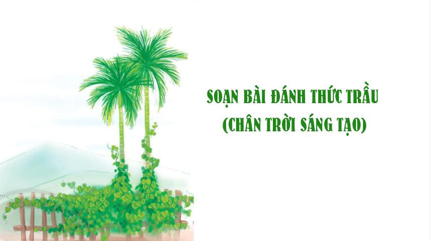 Top 6 Bài phân tích "Đánh thức trầu" (Ngữ văn 6 - SGK Chân trời sáng tạo) sâu sắc nhất