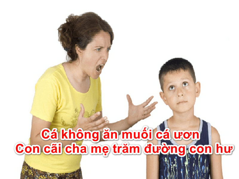 Top 10 Bài văn giải thích câu ca dao “Cá không ăn muối cá ươn/Con cãi cha mẹ trăm đường con hư” dành cho học sinh lớp 7 hay nhất