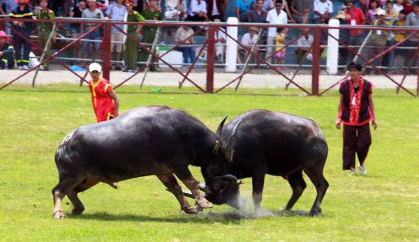 Top 15 bài văn thuyết minh ấn tượng về lễ hội truyền thống Việt Nam dành cho học sinh lớp 9