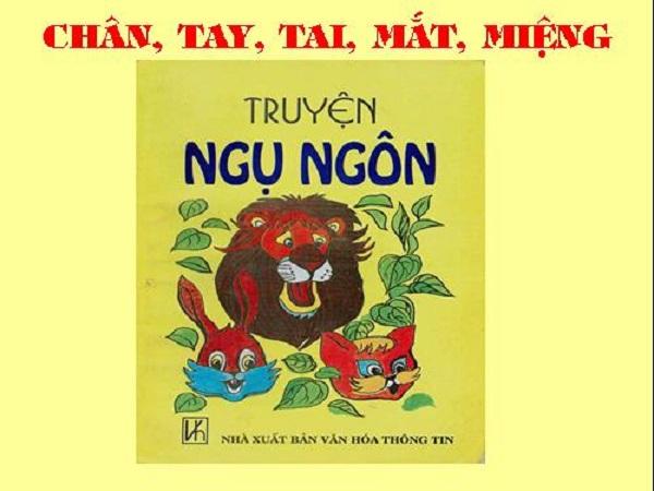 7 Bài Soạn Hay Nhất về Chân, Tay, Tai, Mắt, Miệng (Ngữ Văn 6)