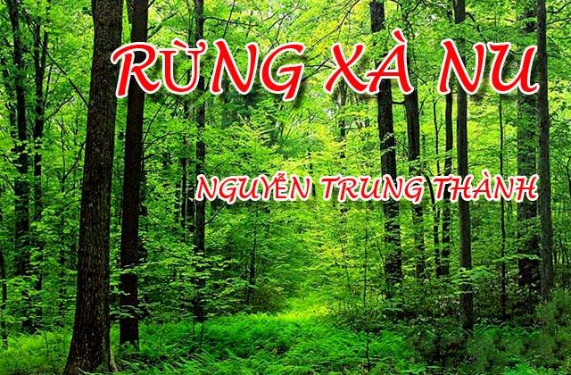 Top 5 phân tích xuất sắc nhất về biểu tượng đôi bàn tay Tnú trong kiệt tác 'Rừng xà nu' của Nguyễn Trung Thành (Dành cho học sinh Ngữ văn 12)