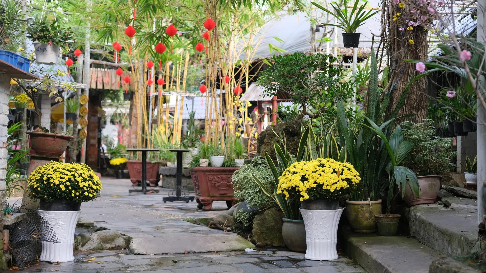 Top 5 Quán cà phê sân vườn phổ biến nhất tại TP. Mỹ Tho, Tiền Giang