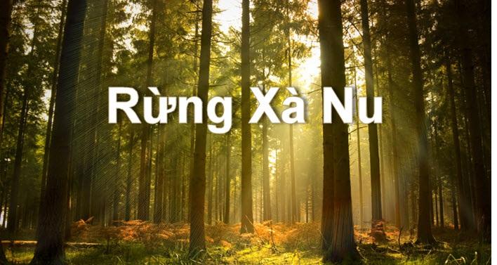 Top 7 bài phân tích đặc sắc về nhân vật cụ Mết trong Rừng xà nu (Nguyễn Trung Thành) - Tác phẩm văn học lớp 12 xuất sắc