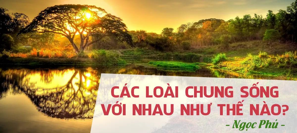 6 Bài soạn xuất sắc nhất về "Các loài chung sống với nhau như thế nào?" (Ngữ văn 6 - SGK Kết nối tri thức)