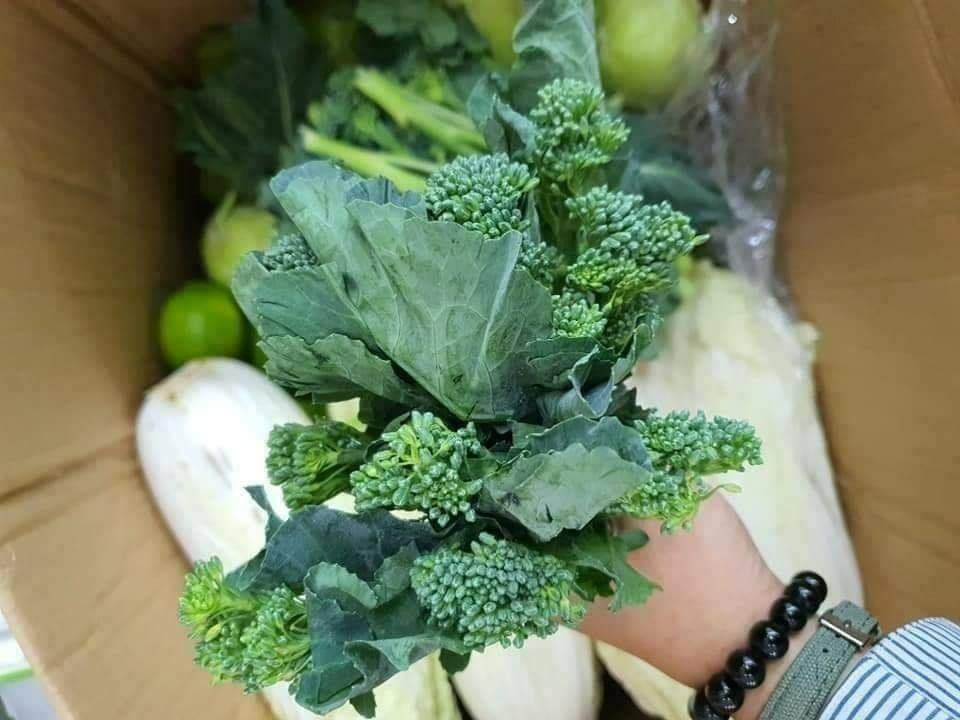 6 địa chỉ vàng cung cấp rau sạch đạt chuẩn an toàn tại Đà Nẵng