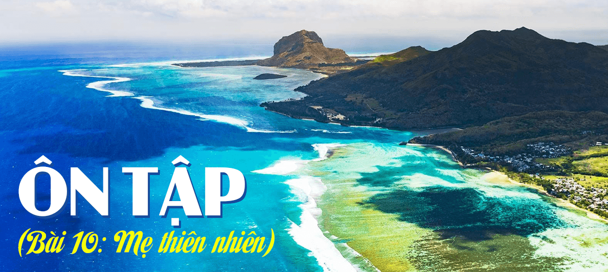 Khám phá 6 bài soạn hay nhất về 'Ôn tập trang 96 tập 2' (Ngữ văn 6 - SGK Chân trời sáng tạo) để nâng cao kiến thức môn Ngữ văn.