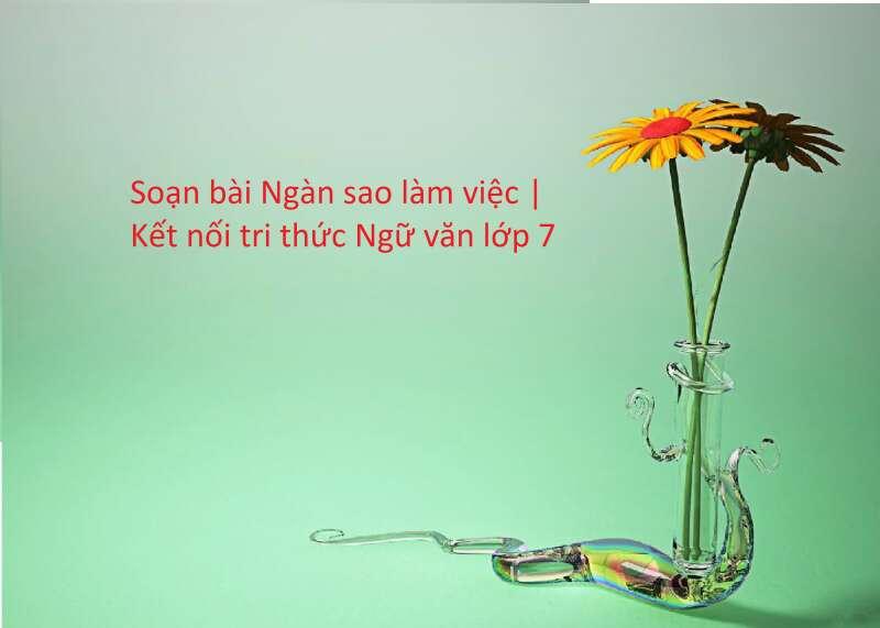 Top 6 Bài soạn "Ngàn sao làm việc" (Ngữ văn 7 - SGK Kết nối tri thức) ấn tượng nhất