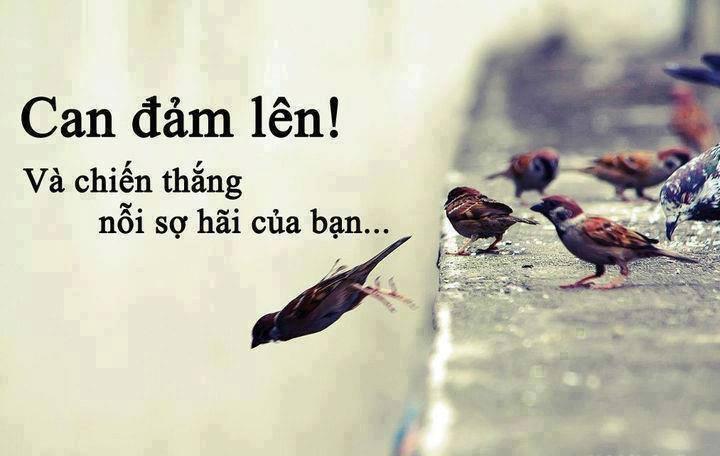15 bài văn xuất sắc nhất chia sẻ góc nhìn về cách con người có thể làm chủ vận mệnh bản thân (Ngữ văn 10 - SGK Cánh Diều)