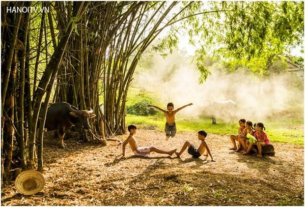 12 Bài văn mẫu tả cây tre lớp 4 đặc sắc nhất