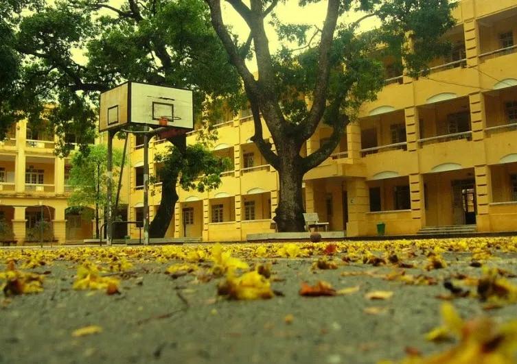 Top 20 Bài cảm nhận hay nhất về mùa thu dành cho học sinh lớp 7