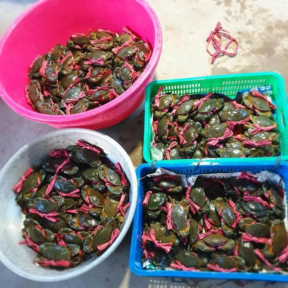 5 Địa điểm cung cấp hải sản tươi sống đáng trải nghiệm nhất Quảng Bình