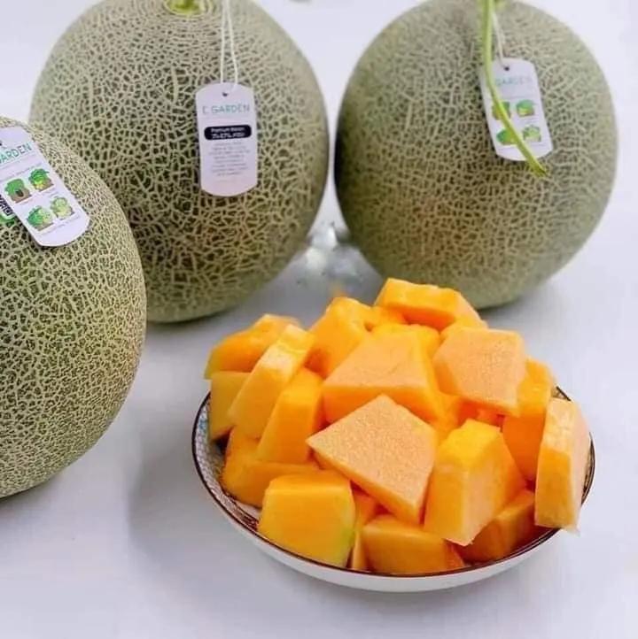 5 điểm đến vàng cho trái cây sạch chuẩn chất lượng tại Bình Định