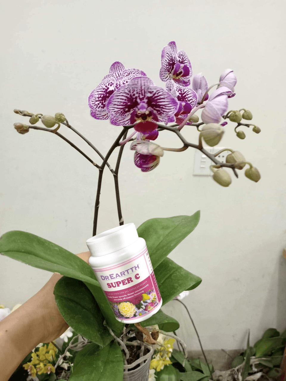 4 địa chỉ cung cấp vật tư nông nghiệp đáng tin cậy hàng đầu tại Bắc Ninh