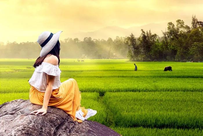 Top 10 Bài cảm nhận ấn tượng nhất về ca dao "Đứng bên ni đồng..." (Ngữ văn 6 - Chân trời sáng tạo)