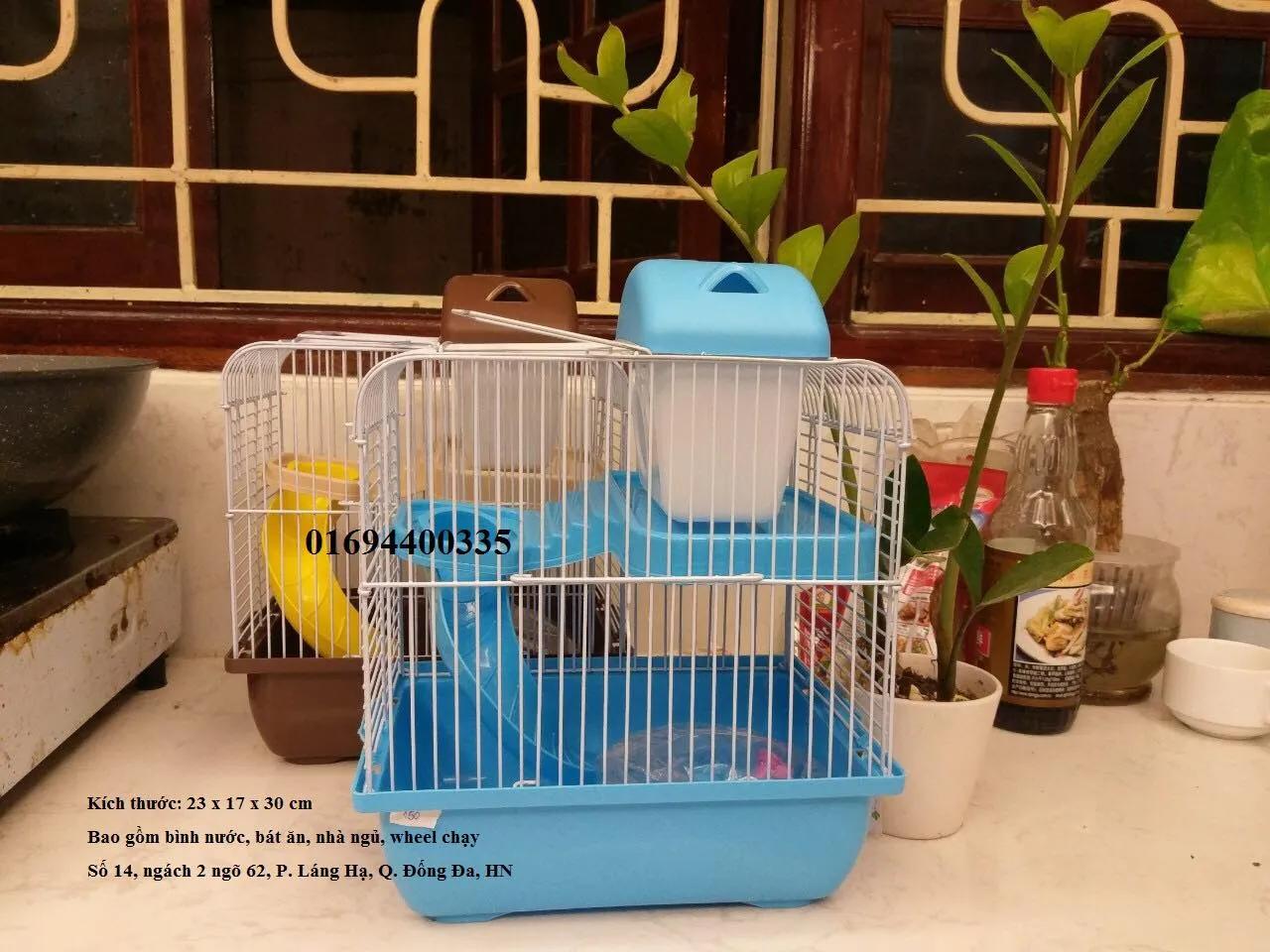 Top 6 cửa hàng uy tín tại Hà Nội chuyên cung cấp thức ăn và phụ kiện cho chuột Hamster
