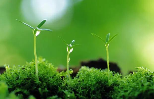 Top 10 Bài văn nghị luận xã hội: Những phương pháp nuôi dưỡng vẻ đẹp tâm hồn (lớp 12) hay nhất