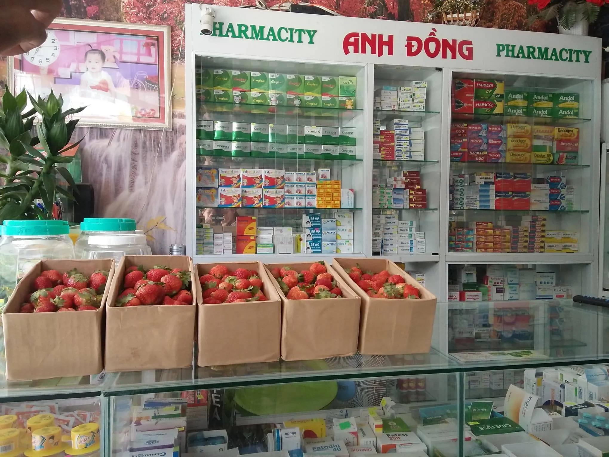 5 Địa chỉ nhà thuốc Tây đáng tin cậy hàng đầu tại Bình Định