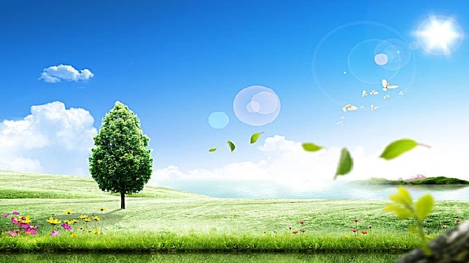 15 Bài văn nghị luận xuất sắc nhất về tình yêu thiên nhiên dành cho học sinh lớp 12