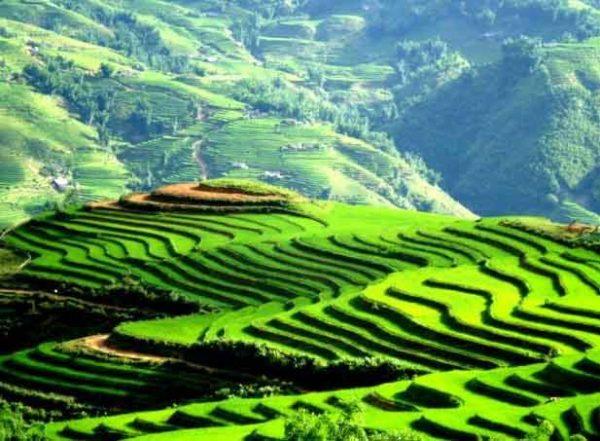 Top 16 bài cảm nhận sâu sắc nhất về nhân vật anh thanh niên trong tác phẩm 'Lặng lẽ Sa Pa' - Kiệt tác văn học lớp 9