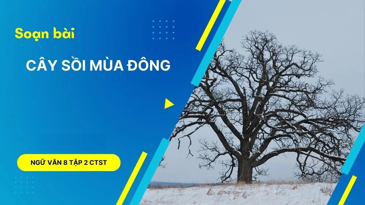 6 Bài soạn "Cây sồi mùa đông" (Ngữ văn 8 - Chân trời sáng tạo) tinh tuyển, giúp khám phá sâu sắc tác phẩm