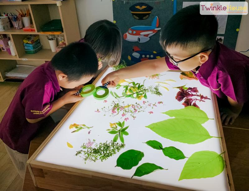 Khám Phá 7 Trường Mầm Non Quốc Tế Tốt Nhất Tại Quận Tân Bình, TP. HCM