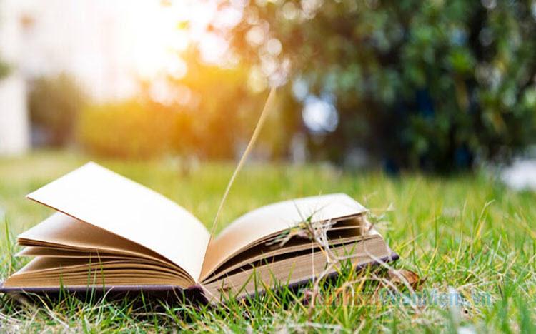 Top 10 bài văn nghị luận sâu sắc bàn về ý nghĩa của thành công và thất bại - đâu mới là hành trang quý giá cho sự tiến bộ của con người (Ngữ Văn 7 - SGK Kết nối tri thức)