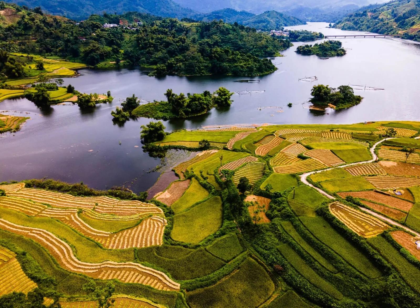 Top 6 Bài phân tích "Nếu mai em về Chiêm Hoá" (Ngữ văn 8 - SGK Cánh diều) ấn tượng nhất
