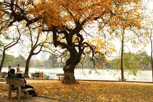 Top 5 bài văn phân tích khổ 2 bài thơ 'Sang Thu' (Hữu Thỉnh) xuất sắc nhất