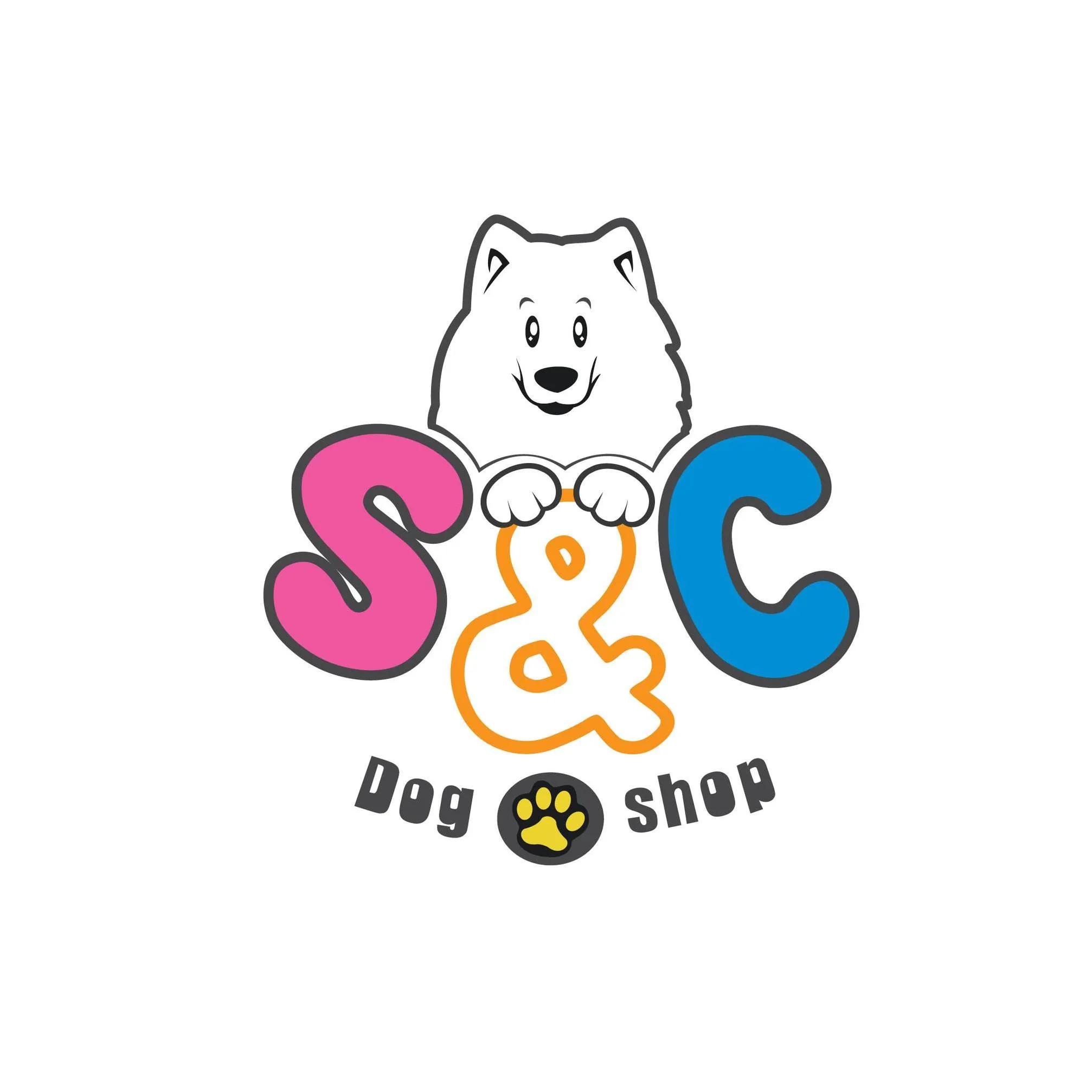 6 Địa điểm mua chó Husky đáng tin cậy nhất tại TP. Hồ Chí Minh