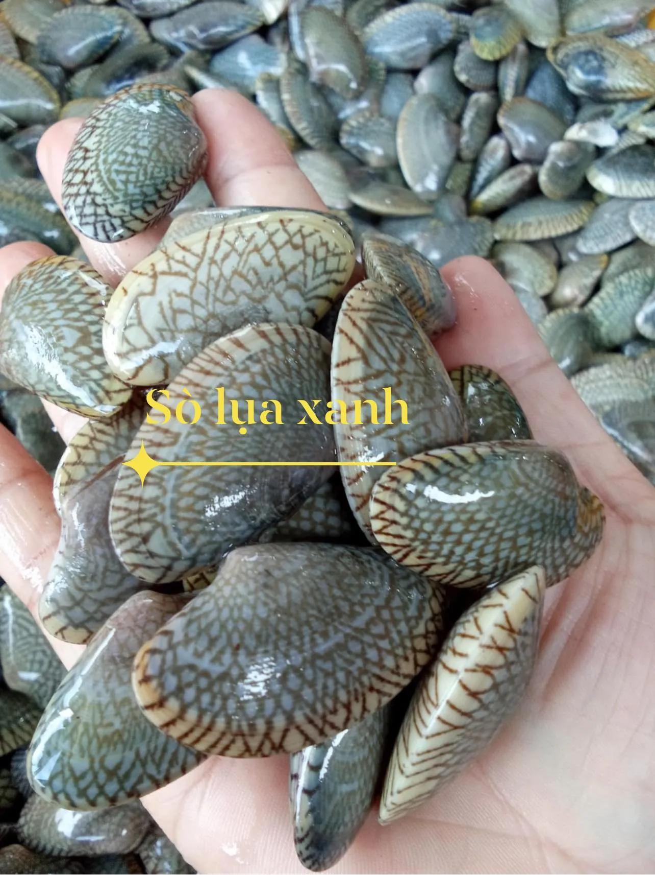 9 Địa điểm cung cấp hải sản tươi sống đáng tin cậy nhất tại Cần Thơ