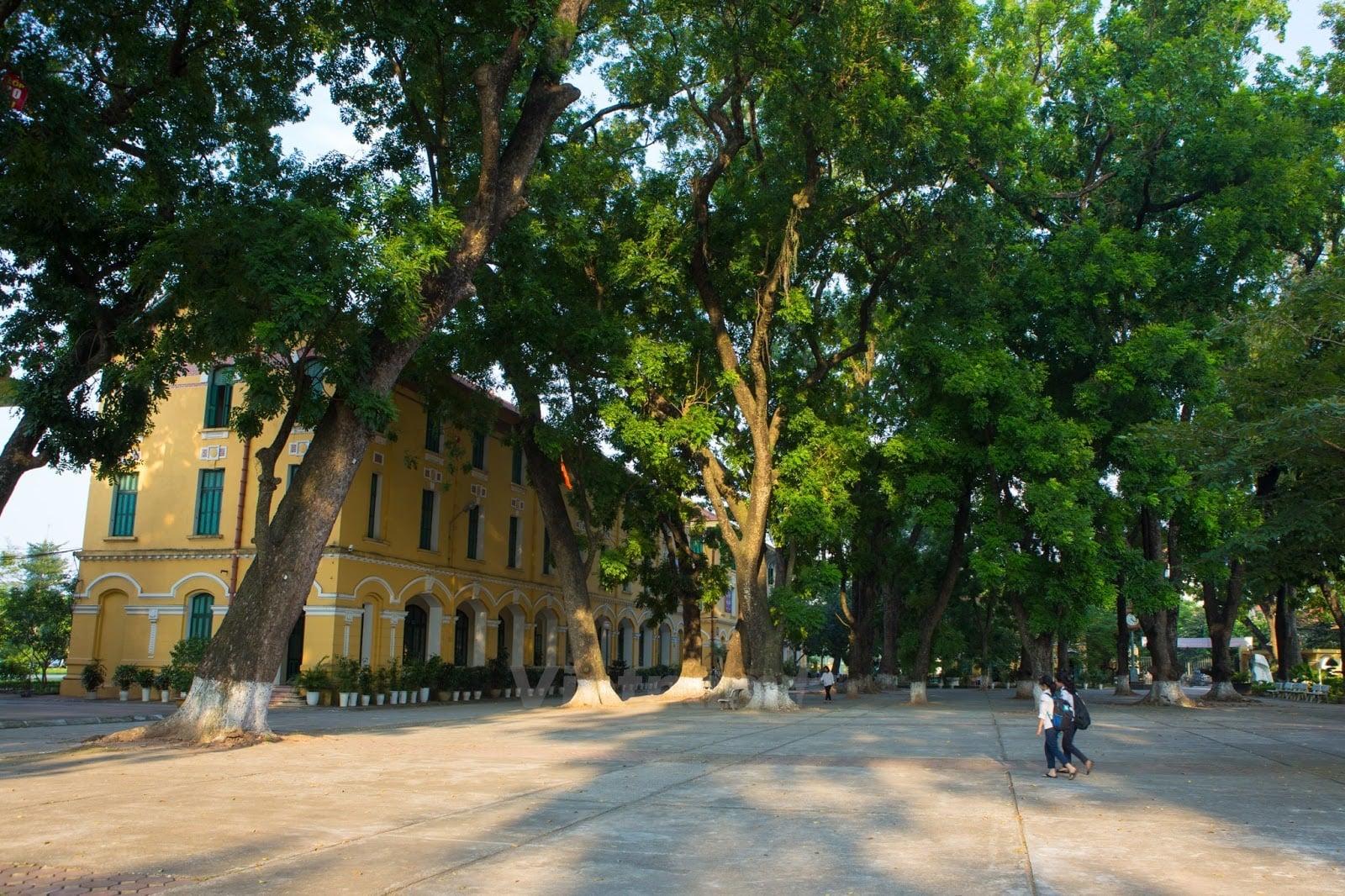 Top 25 bài viết xúc động nhất về mái trường cấp hai thân thương dành cho học sinh lớp 7