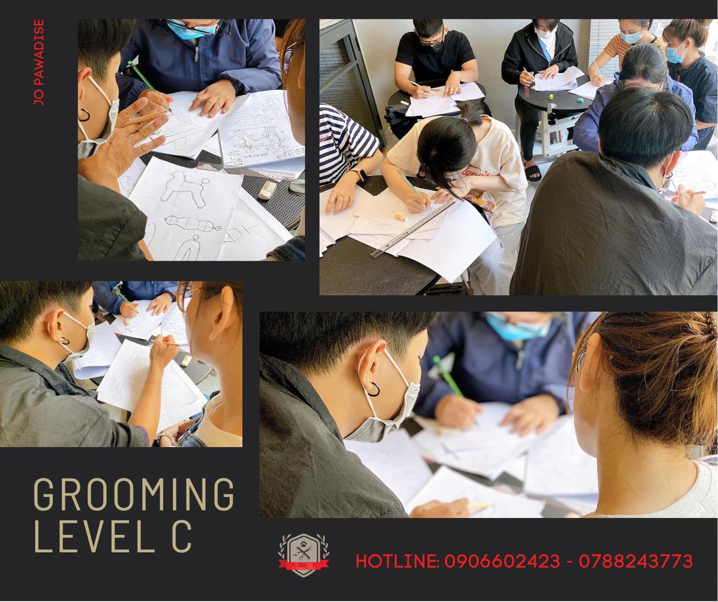 9 Trung tâm dạy nghề cắt tỉa lông thú cưng chất lượng nhất Sài Thành