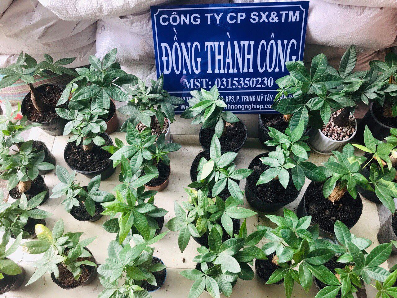 Top 9 cửa hàng vật tư nông nghiệp uy tín tại TP. HCM