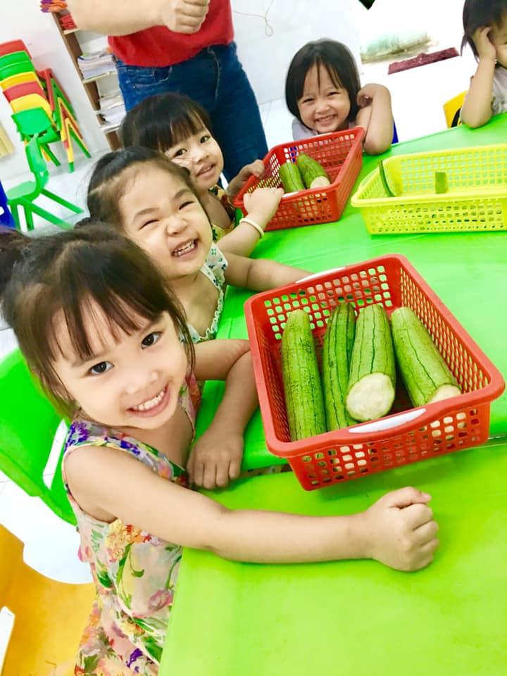 Danh Sách 6 Trường Mầm Non Tốt Nhất Tại An Khê, Gia Lai