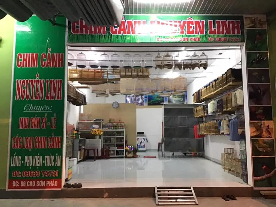 Top 4 Cửa Hàng Cung Cấp Thức Ăn Cho Chim Tốt Nhất Tại Đà Nẵng
