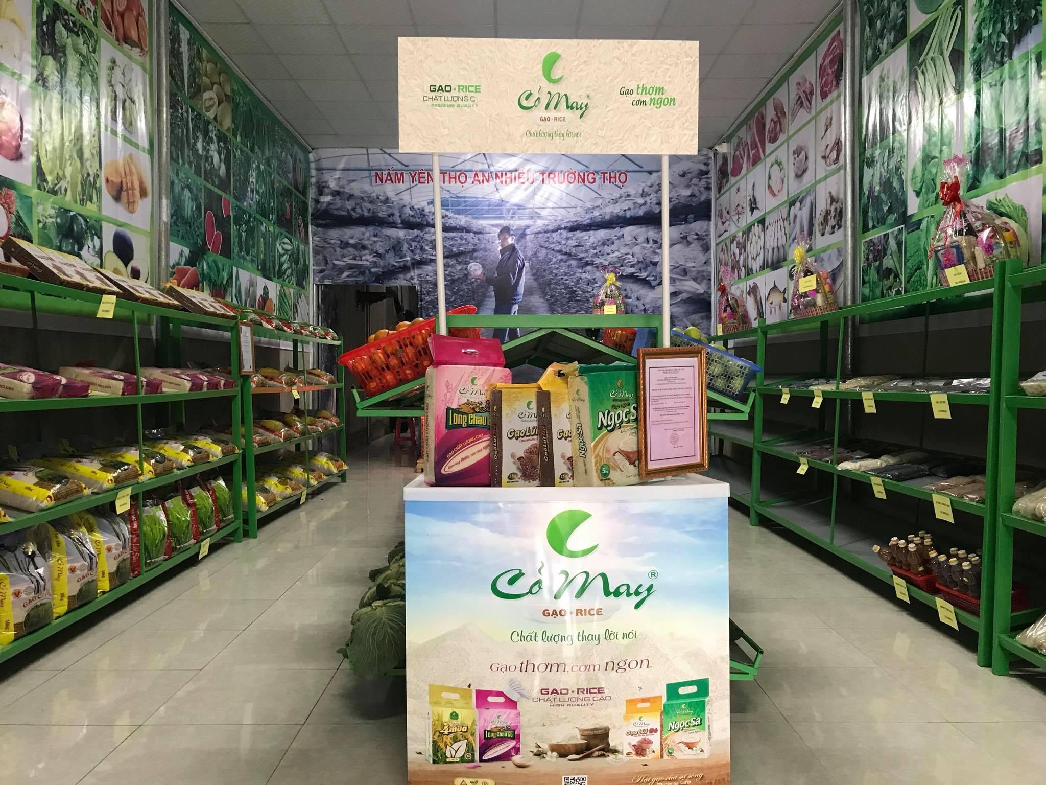 Top 6 Địa chỉ bán gạo uy tín, giá tốt nhất tại Thanh Hóa
