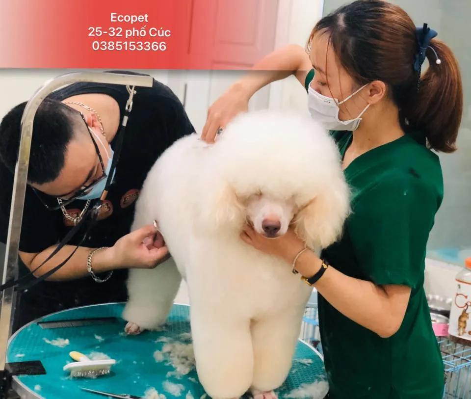 Top 4 phòng khám thú y uy tín tại Hưng Yên
