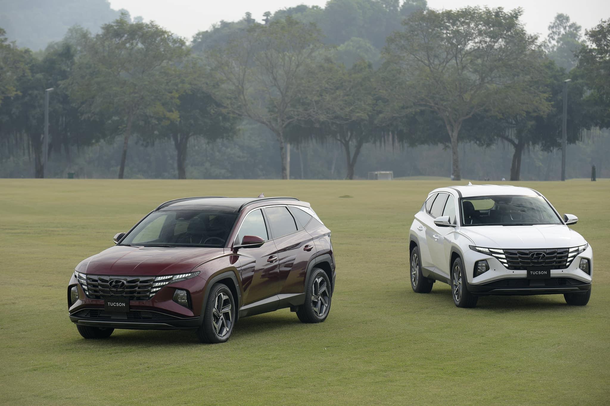 12 Đại lý Hyundai chính hãng uy tín bậc nhất miền Nam - Địa điểm vàng cho khách hàng đam mê chất lượng Hàn Quốc