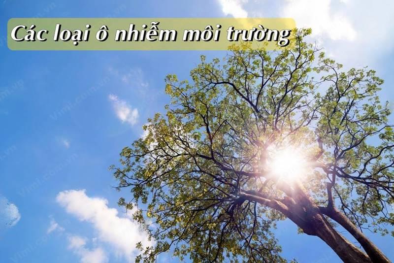 Top 20 bài nghị luận ấn tượng nhất về chủ đề ô nhiễm môi trường dành cho học sinh lớp 12