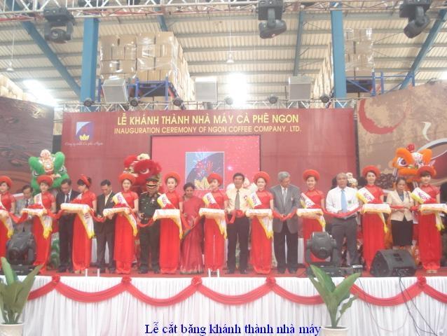 Top 8 Thương hiệu cà phê dẫn đầu thị trường Việt Nam