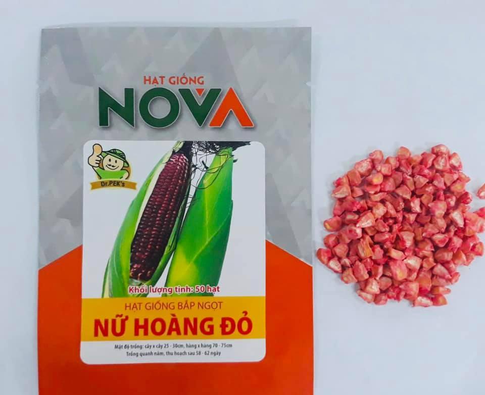 Top 8 địa chỉ cung cấp hạt giống uy tín và chất lượng tại TP. HCM