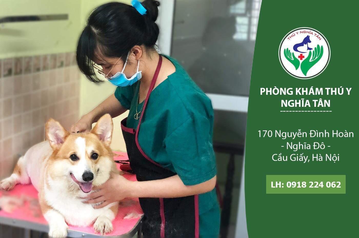Top 5 phòng khám thú y đáng tin cậy nhất tại quận Cầu Giấy, Hà Nội