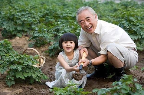 Top 16 Bài văn mẫu tả ông nội/ông ngoại đáng kính nhất (Dành cho học sinh lớp 5)