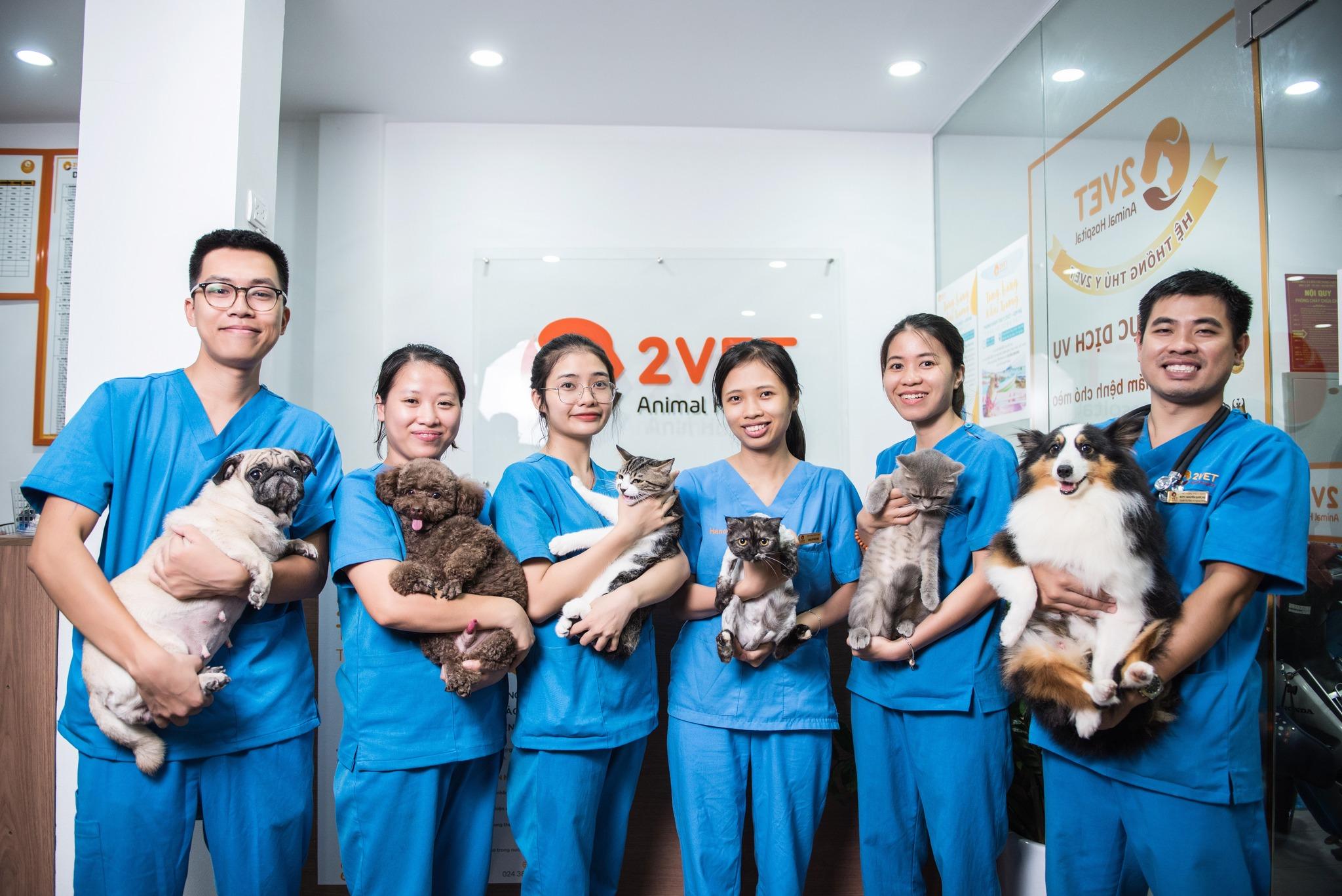 9 địa chỉ phòng khám thú y đáng tin cậy và chất lượng hàng đầu tại quận Hà Đông, Hà Nội