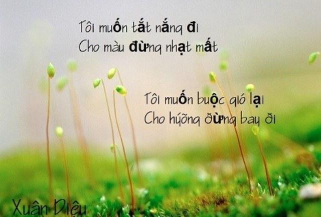 Top 8 bài phân tích đặc sắc nhất về khát vọng tình yêu trong 'Sóng' (Xuân Quỳnh) và 'Vội vàng' (Xuân Diệu) - Dành cho học sinh lớp 11